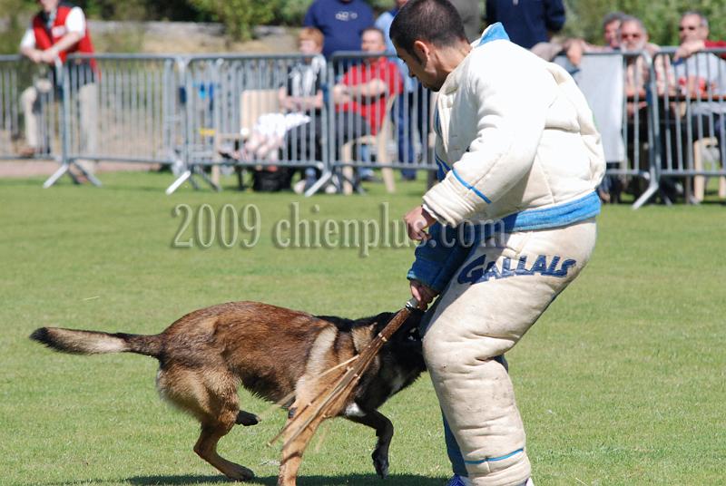 3 EME SELECTIF 2009 GRANDE SYNTHE 070.jpg